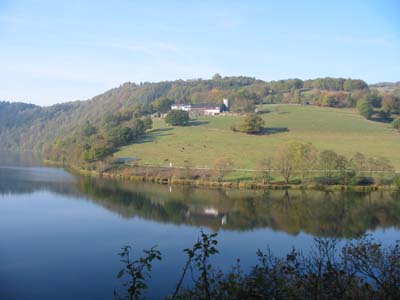 Blick auf eine Wiese mit K&uuml;hen und einen Bauernhof